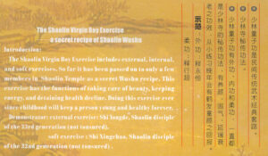 13.NATIONAL WUSHU CLASSIC The Shaolin virgin boy exercise (4)