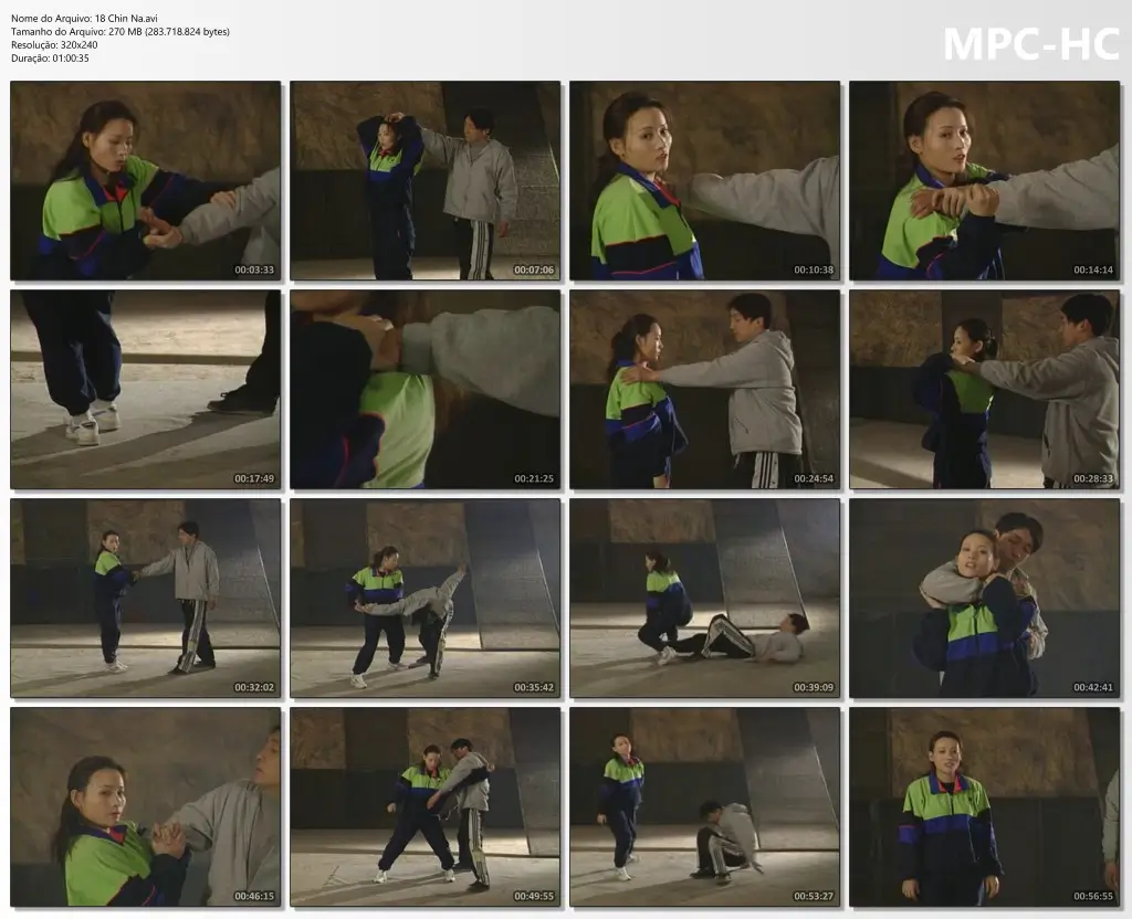 18 Chin Na.avi thumbs