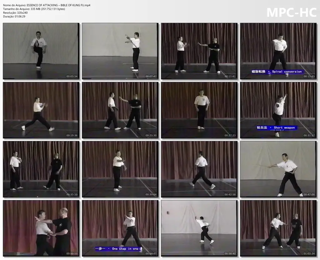Essence of attacking – bible of kung fu.mp4 thumbs