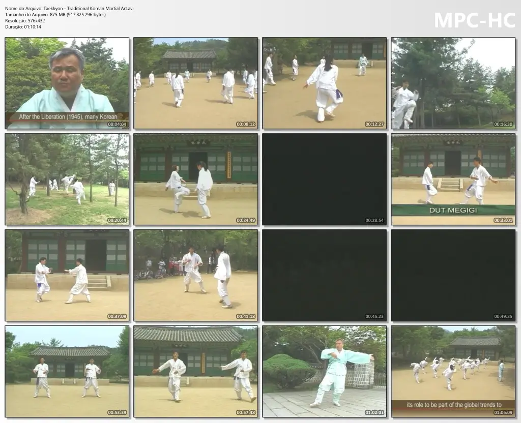 Taekkyon traditional korean martial art.avi thumbs