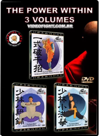 SHI YANZI - THE POWER WITHIN