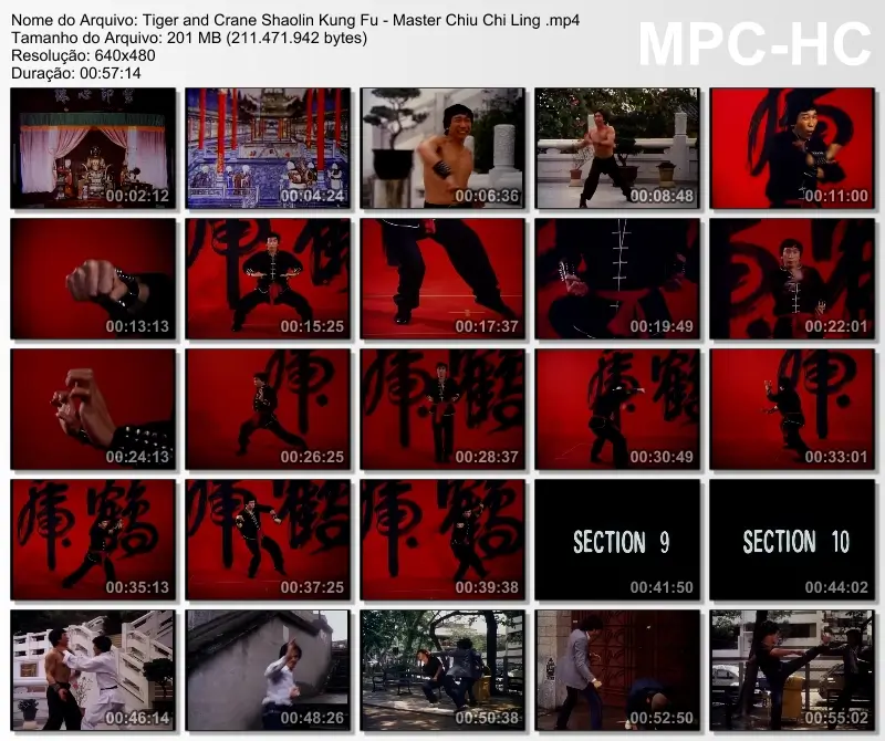 Tiger and crane shaolin kung fu master chiu chi ling .mp4 thumbs [2025.03.11 11.00.44]