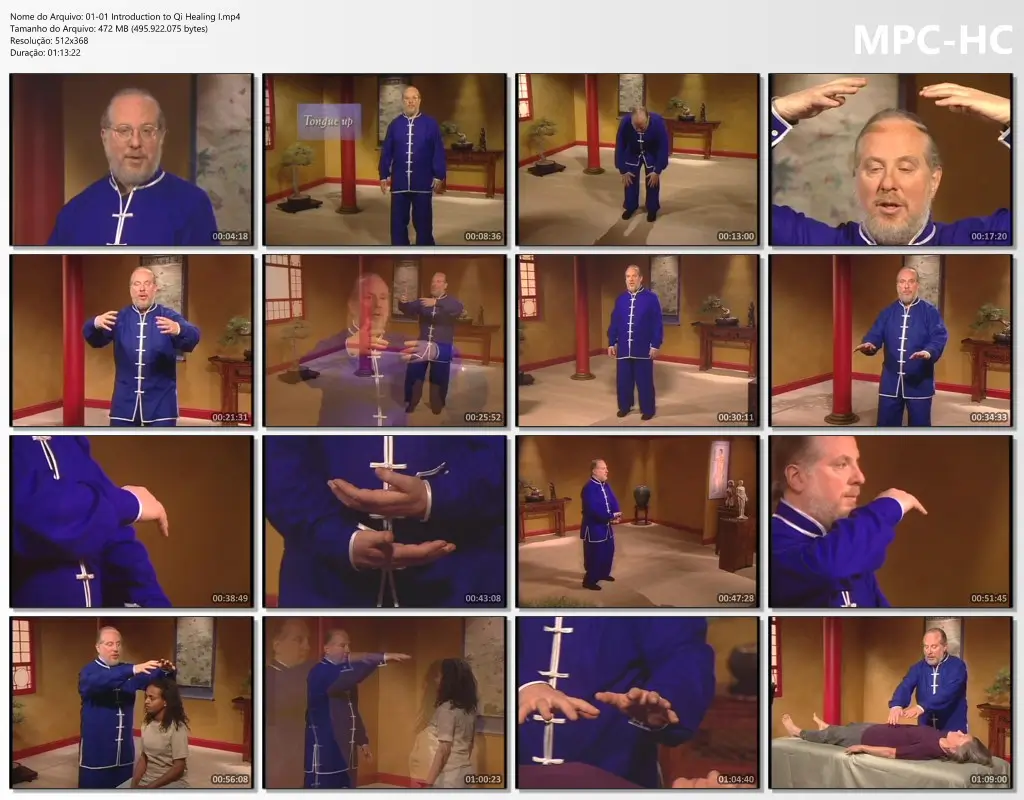 01 01 Introduction to Qi Healing I.mp4 thumbs