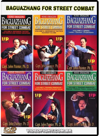 JOHN PAINTER - NINE DRAGON BAGUAZHANG FOR STREET COMBAT