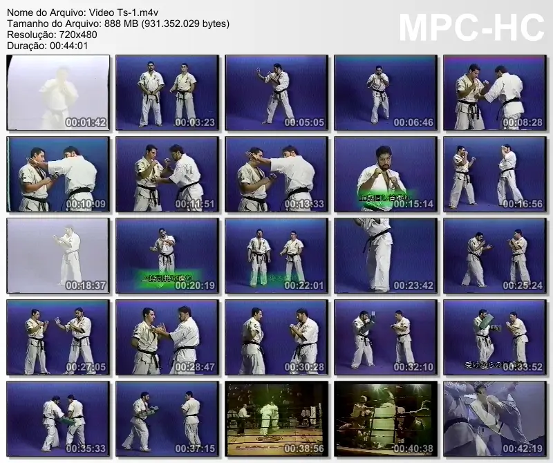 Karate de combate seiwakai dvd