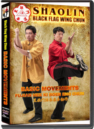 BENNY MENG & KENNETH XIANG FUK LIN- SHAOLIN BLACK FLAG WING CHUN ...