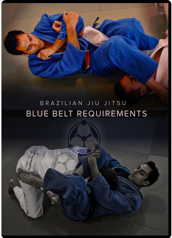 ROY DEAN BRAZILIAN JIU JITSU PURPLE BELT REQUIREMENTS VIDEOFIGHT
