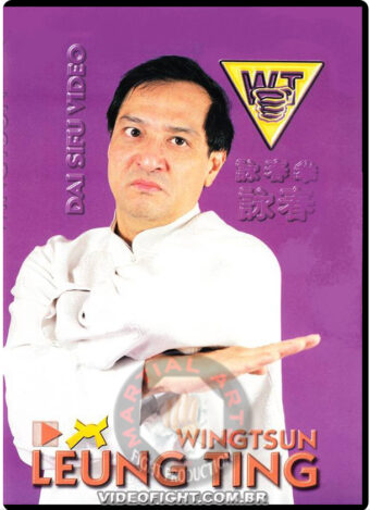 LEUNG TING WING TSUN CORRET OU INCORRECT ?