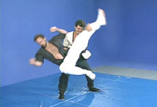 Shuai Jiao Chinese Wrestling 10 DVD set with Peter Chema (2)