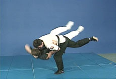 Shuai Jiao Chinese Wrestling 10 DVD set with Peter Chema (4)