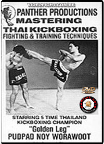 MUAY THAI - FIGHTING AND TRAINING TECHNIQUES