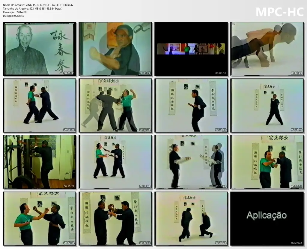 VING TSUN KUNG FU by LI HON KI.m4v thumbs