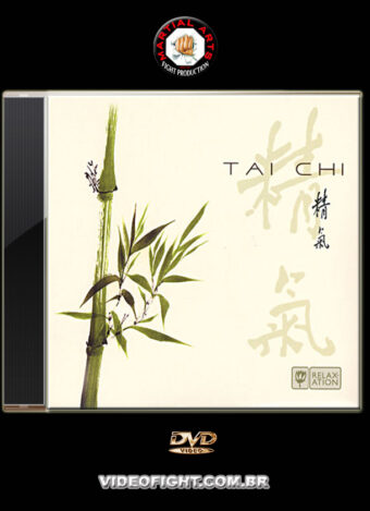 2005 - MARCO ALLEVI TAICHI - SOUNDTRACK