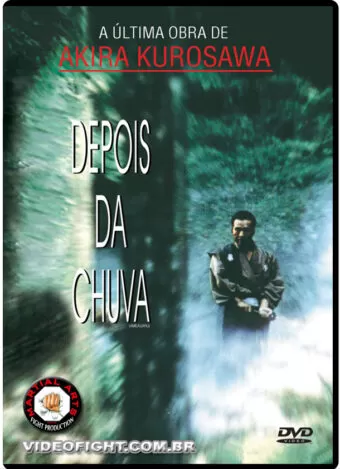 (2010) DEPOIS DA CHUVA