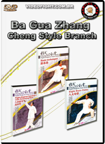 BA GUA ZHANG CHENG STYLE BRANCH