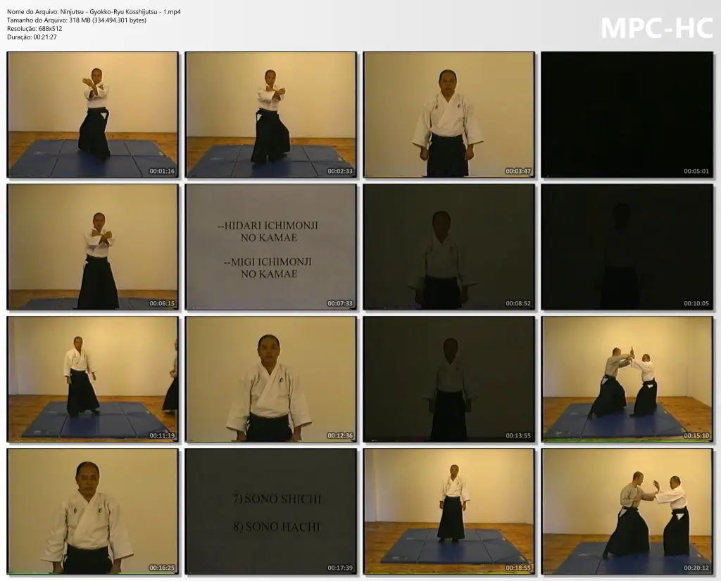 Ninjutsu gyokko ryu kosshijutsu 1.mp4 thumbs