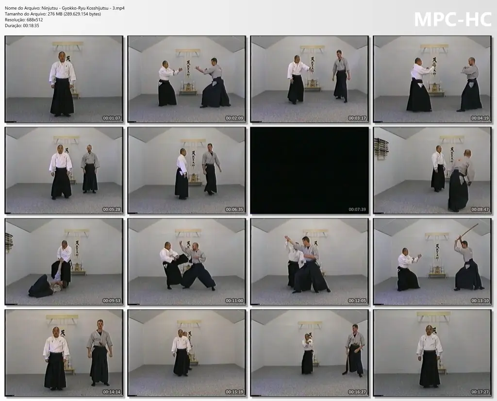 Ninjutsu gyokko ryu kosshijutsu 3.mp4 thumbs