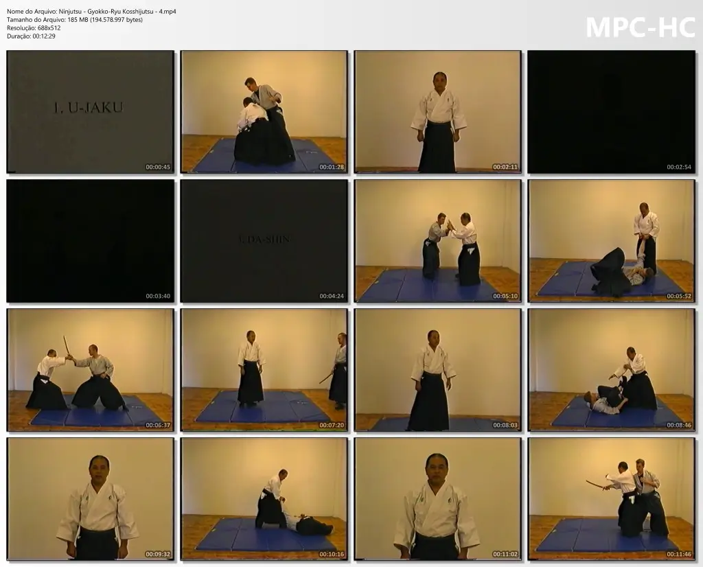 Ninjutsu gyokko ryu kosshijutsu 4.mp4 thumbs