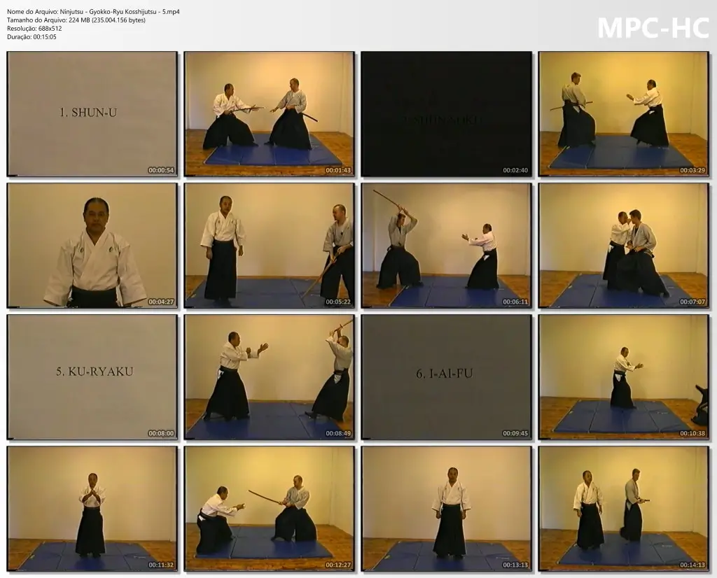 Ninjutsu gyokko ryu kosshijutsu 5.mp4 thumbs