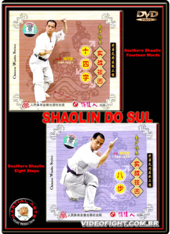 SOUTHERN SHAOLIN SERIES LUO HAN 2
