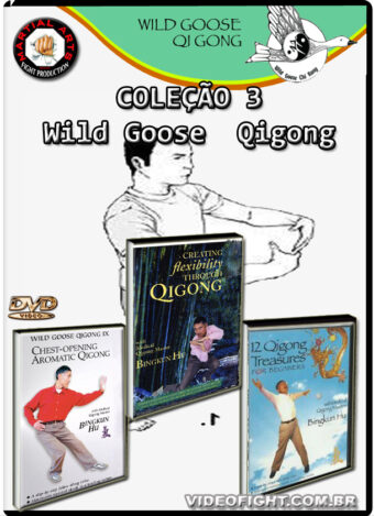 COLEÇÃO 3 - WILD GOOSE QIGONG