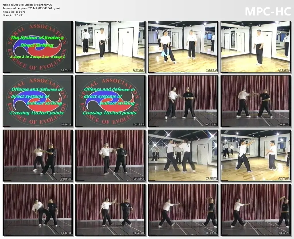 Essence of fighting.vob thumbs