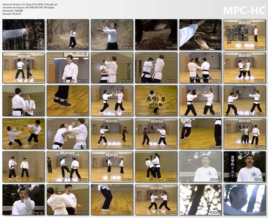 Su dong chen bible of kungfu.avi thumbs