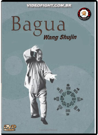 WANG SHUJIN BAGUAZHANG