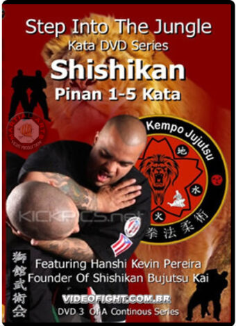 SHISHIKAN PINAN KATA BREAKDOWN & APLICATION