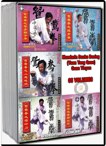 MANDARIN DUCKS BOXING