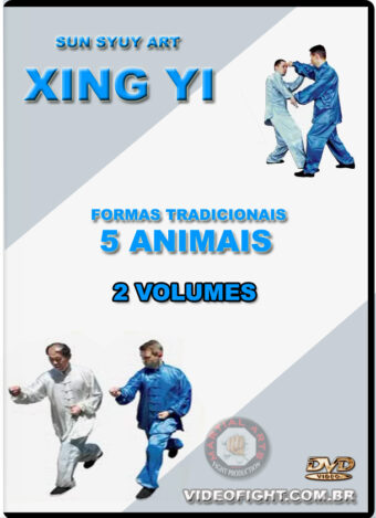 SUN SYUY ART XING YI