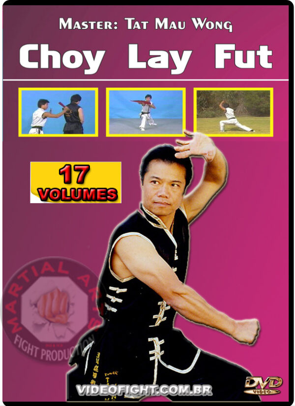 TAT MAU WONG MASTERING CHOY LAY FUT KUNG FU VIDEOFIGHT