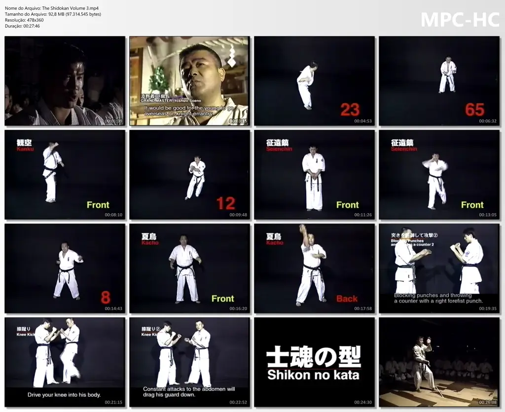 The Shidokan Volume 3.mp4 thumbs