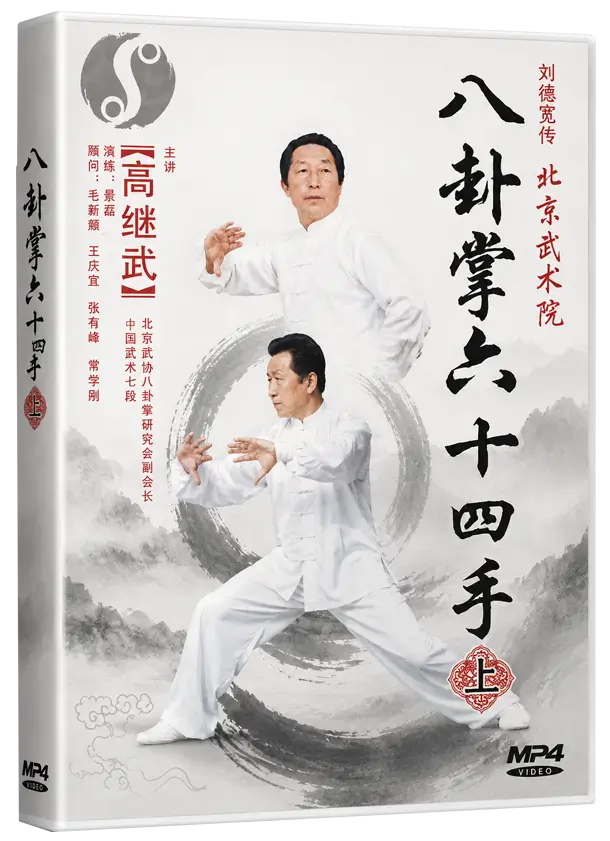 GAO JI WU - BAGUA 64 HANDS