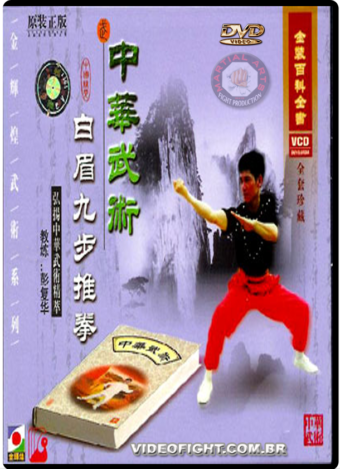 PAK MEI  KUNG FU - 9 STEPS PUSH BOXING