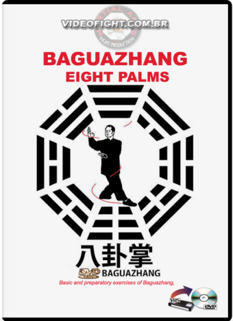 BAGUAZHANG WARM UP