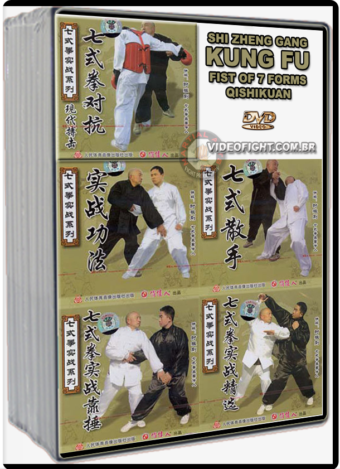 MASTER SHI ZHEN GANG - 7 FORM FIST SERIES