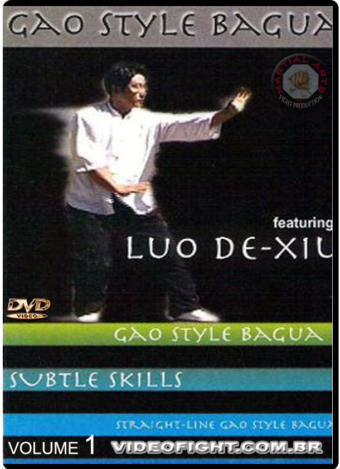 GAO BAGUAZHANG - SUBTLE SKILLS 1