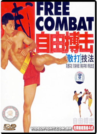 SANDA TECHNIQUES FREE COMBAT