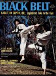 1973 Black Belt
