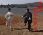 Fu QingquanTai Chi Dao sword (5)