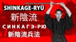 5.Fight Vision Shinkage Ryu 新陰流 Синкагэ рю Нова школа тіні