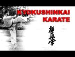7.Fight Vision Kyokushin in Russia