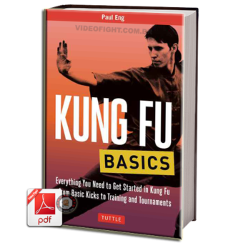 KUNG FU BASICS EM PDF