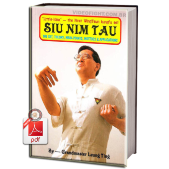 LEUNG TING - SIU NIN TAU EM PDF