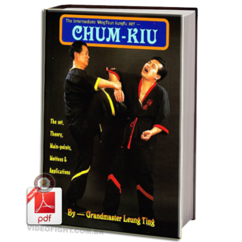 LEUNG TING - CHUM KIU EM PDF