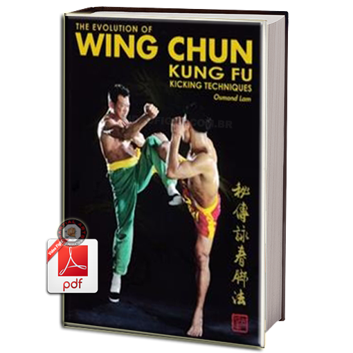 THE EVOLUTION OF WING CHUN KUNG FU KICKING TECHNIQUES EM PDF