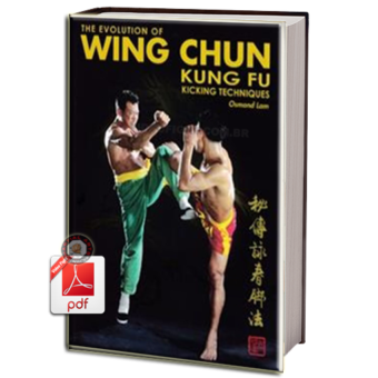 THE EVOLUTION OF WING CHUN KUNG FU KICKING TECHNIQUES EM PDF