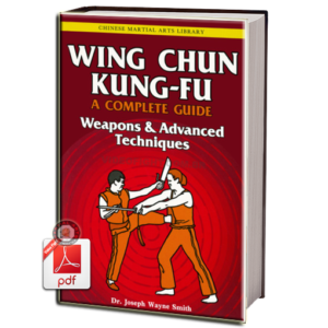 WING CHUN KUNG FU VOLUME 3 EM PDF