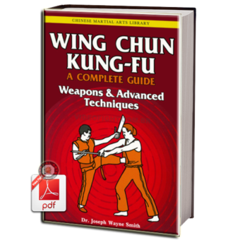 WING CHUN KUNG FU VOLUME 3 EM PDF
